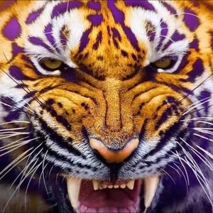 Meet your Posher, Dustin